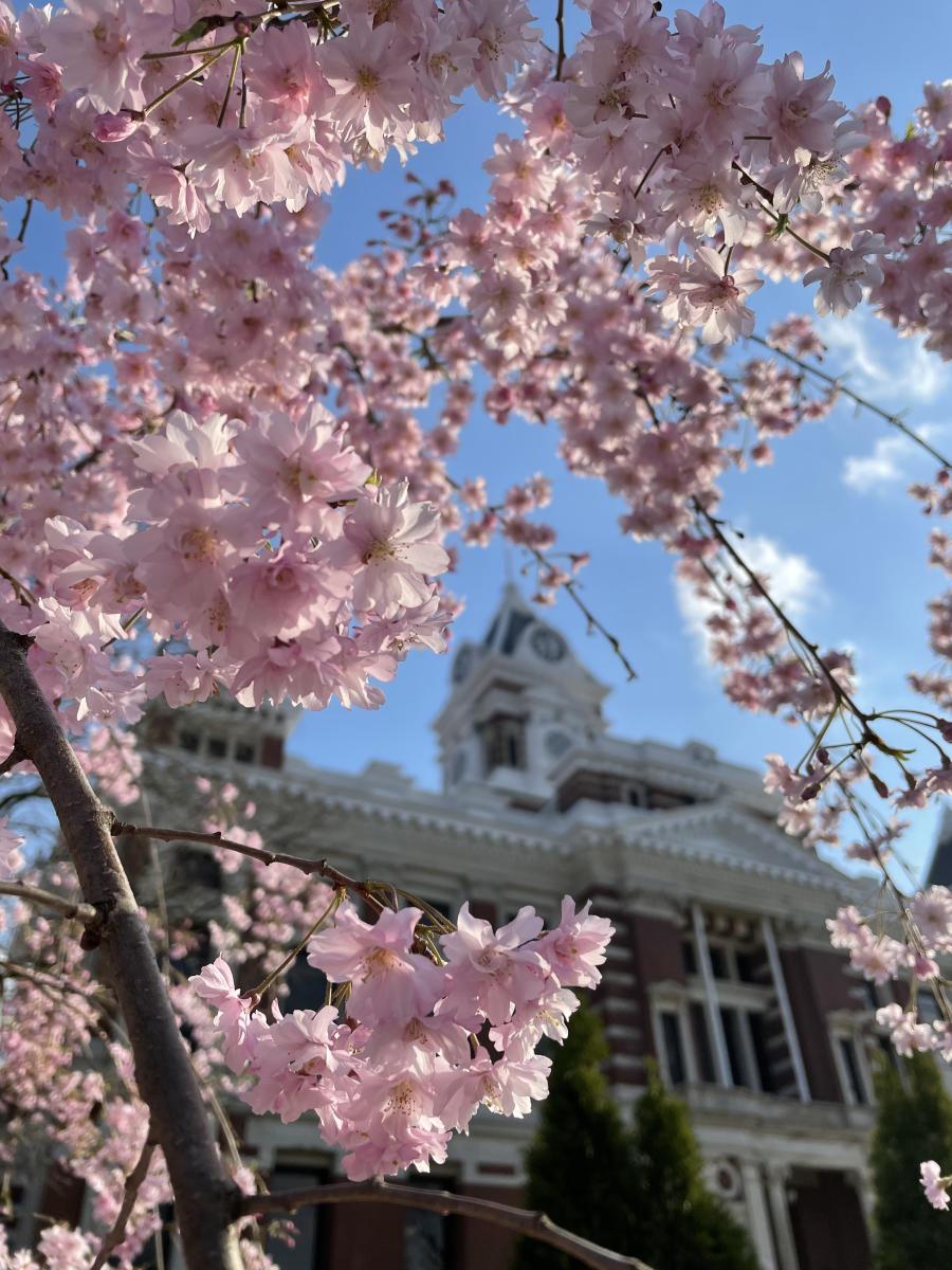 Day Trips from Indianapolis: 5 Small Towns Worth Visiting — hero image